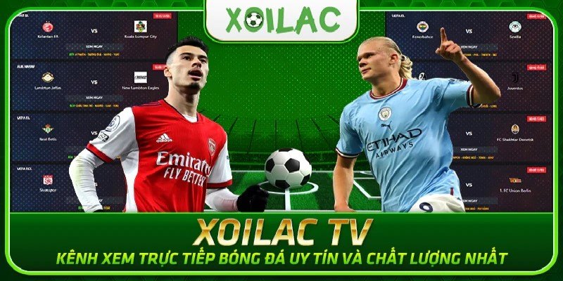 Các giải đấu bóng đá Xoilac TV